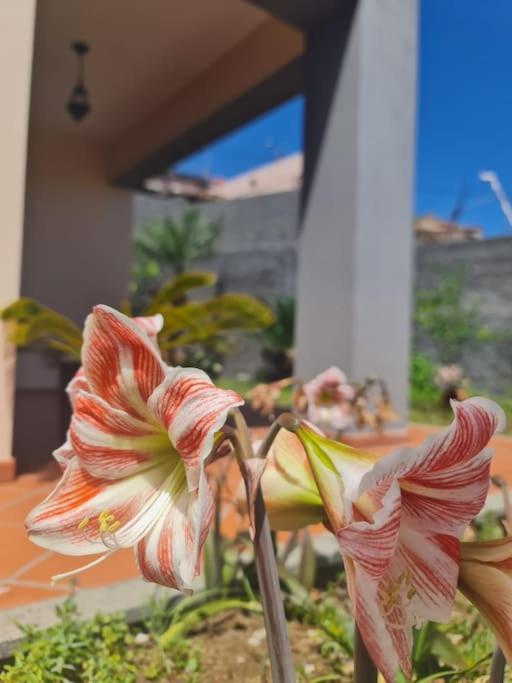 Villa Casa Da Portada Seixal  Exterior foto
